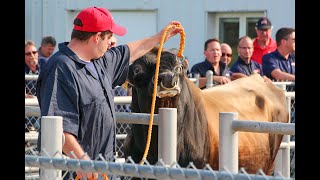 2022 Select Sires Inc. Sales Conference Bull Parade