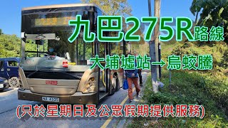 遊車河系列 : 九巴275R路線 , 來往  - 大埔墟站 ~ 烏蛟騰  (單層巴士)