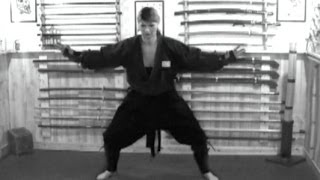 Togakure-ryū Training | Ninja Evasion Techniques (Tonjutsu) Ninpo Taijutsu