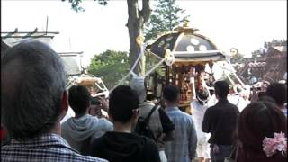 2015年/平成27年5月5日館山鶴ケ谷八幡宮後藤利兵衛橘義光生誕200年祭 熊野神社佐野区・熊野神社長須賀区神輿・山宮神社長田区・八坂神社中里区の神輿　鶴ケ谷八幡宮出発