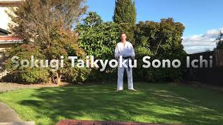 Tutorial: Sokugi Taikyoku Sono Ichi