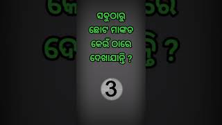 ସବୁଠାରୁ ଛୋଟ ମାଙ୍କଡ କେଉଁ ଠାରେ ଦେଖାଯାଆନ୍ତି? #shorts #viral