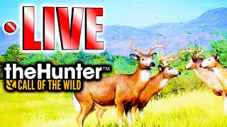 Back on the Rancho Del Arroyo Whitetail Grind! | LIVE