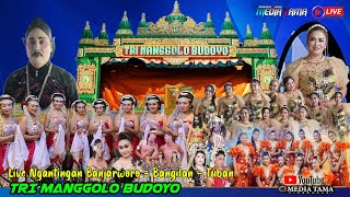 STREAM TRI MANGGOLO BUDOYO Live Ngantingan Kec. Bangilan - Tuban // MEDIA TAMA