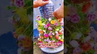 5 লিটারের বোতল দিয়ে ফুল গাছের বনসাই তৈরি #bonsai #rose #flowers #shorts