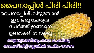 എന്റെ പൊന്നോ ഈ ഒരു മസാലക്കൂട്ട് ചേർത്ത് പൈനാപ്പിൾ ഇതേ പോലെ ഒന്ന് ഉണ്ടാക്കി നോക്കൂpineapple piri piri