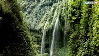 Relaxing Music and Peaceful Waterfall: Beautiful Piano,Sleep Music, Meditation Music,Music Of Nature