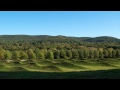 Maya Lin: Topologies