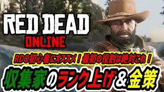 【RDO レッドデッドオンライン】RDO初心者必見！RDOを始めたらまずは収集家を目指してほしい理由＆立ち回りと稼ぎ方を撤退解説！！