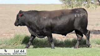 Lot 44 SDF23U115 Bull Oak Well 2025