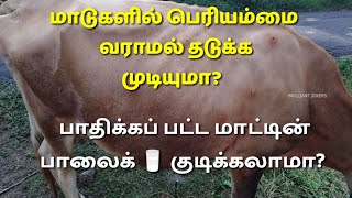 மாடுகளில் பெரியம்மை |பகுதி 2 | வராமல் தடுக்க முடியுமா?