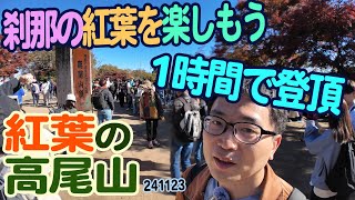 『高尾山』東京都八王子市高尾町：年に1度は高尾山へ！