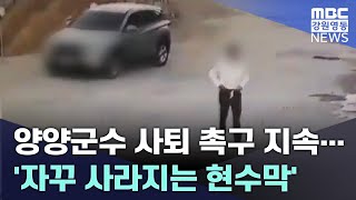 양양군수 사퇴 촉구 지속... '자꾸 사라지는 현수막' 20241025