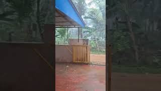 ശക്തമായ കാറ്റും മഴയും ഞെട്ടി പോയി പിന്നീട് സംഭവിച്ചത് #nature #keerthi m kurup