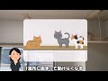 【ペット可賃貸】猫と住める一人暮らし向け賃貸物件をルームツアー