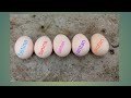 HOW TO DIFFERENT FUTURE EGGS BECOME A rooster and a female