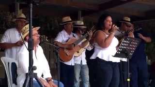 Aguinaldo Jibaro ! Miguel Santiago con Ecos de Borinquén