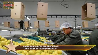 Pablo Padilla: "Es una profunda e  crisis para el sector citrícola"