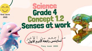 Concept 1.2 Senses at work ملخص الصف الرابع الابتدائي🤓 الترم الاول