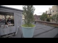 flamingosis brooklyn rooftop session