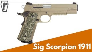 Sig Sauer Scorpion 1911 [HD] Cleaning & Features