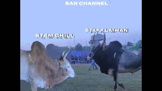 Stem Chill 🆚 Staff Laiwan