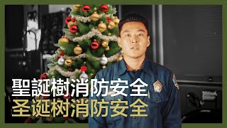 聖誕樹消防安全 | 厨房消防安全