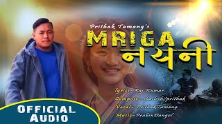 Mriga nayani aakhama || New Nepali song || Prithak Tamang ||2024