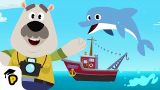 The Sound of Dolphins! | Learn about Sea Animals | Kids learning video | Dr. Panda TotoTime