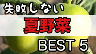 【家庭菜園】失敗しない夏野菜ベスト5