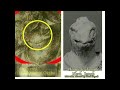 4314【04r】alien in lacerta files benevolent anunnaki？ラセルタ・ファイルの中のエイリアン＝善意のアヌンナキ？謎の遮光器土偶hiroshi hayash