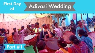 Part #1 Aadivasi wedding [ Mahmani ]