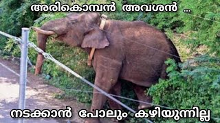 അരികൊമ്പൻ അവശൻ . അവനു വേണ്ടി പ്രാർത്ഥിക്കാം | arikomban elephant in kerala