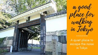 【Tokyo Day Walk】Kitanomaru Park \u0026 Chidorigafuchi Promenade 北の丸公園・千鳥ヶ淵