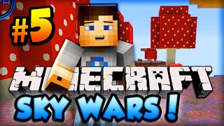 Minecraft SKYWARS - \