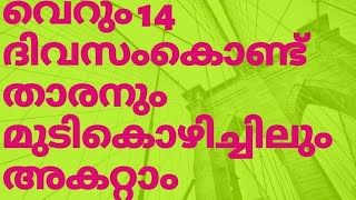 14 ദിവസത്തിൽ താരനും മുടികൊഴിച്ചിലും മാറും