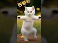 Funny 😃 cat dancing,😀🥰😃 #viral #shorts #yt #funnycat .