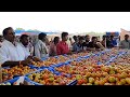 03 10 22 today tomato rates in mulakalacheruvu🍅🍅 mulakalacheruvu tomato market prices today top