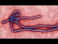 Ebola triggers CDC travel warning