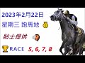 🏆🐴2022年 2 月22 日💰星期三👍跑馬地💪香港賽馬貼士😁 hong kong horse racing tips 🏆race 1 2 3 4 😁