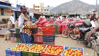 Best Quality Tomato for Export Order - Oddanchatram Vegetable Market