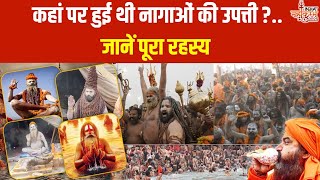 Naga Sadhu In Maha Kumbh: कहां पर हुई थी नागाओं की उपत्ती?..जानें पूरा रहस्य | News