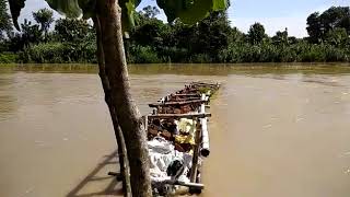 Maharajganj Floods:  महराजगंज में बाढ़ के कारण जलमग्न हुआ पूरा क्षेत्र