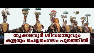 Chellamangalam Pooram. ചെല്ലമംഗലം പൂരം. തെക്കന്‍ പൂരങ്ങളില്‍ പ്രസിദ്ധമായ ചെല്ലമംഗലം പൂര വിശേഷങ്ങള്‍.