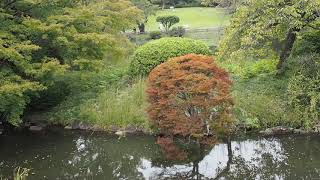 東京　秋の散歩　新宿御苑　紅葉が始まる　2018.10.3