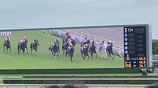 東京11レース  アイルランド府中牝馬ステークス(GII) イズジョーノキセキ