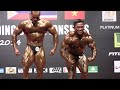 wbpf sea 2014 men s bodybuilding pose down below 75kg