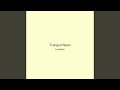 Tranquil Neon