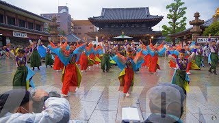 ぞっこん町田'98 奉納演舞 14thかわさき楽大師厄除けよさこい