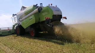 Якщо комбайн то-CLAAS.Tukano 440,Tukano 580,Dominator 66 на збиранні озимого ячменю.